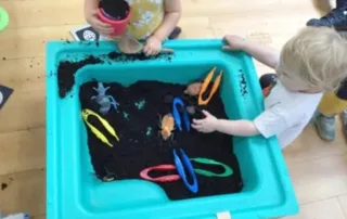 insect messy tray activity