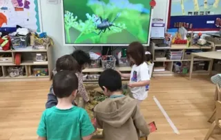 learning about insects at nursery
